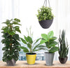 8 Best Artificial Plants You Should Buy in 2023 - Designer Vertical Gardens