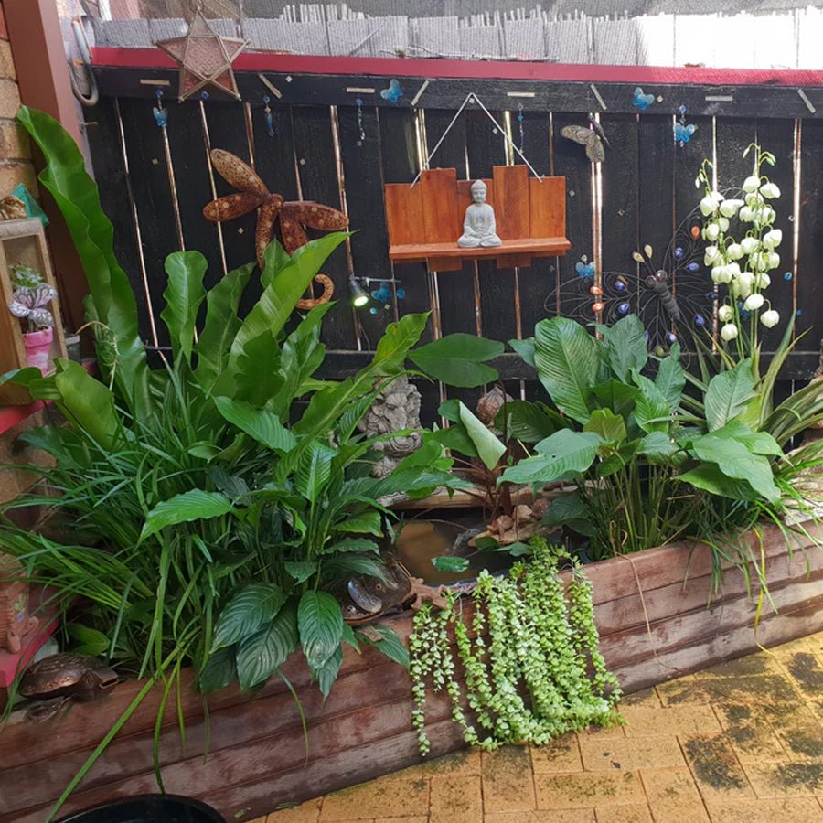 How to care for artificial plants in Summer? Designer Vertical Gardens