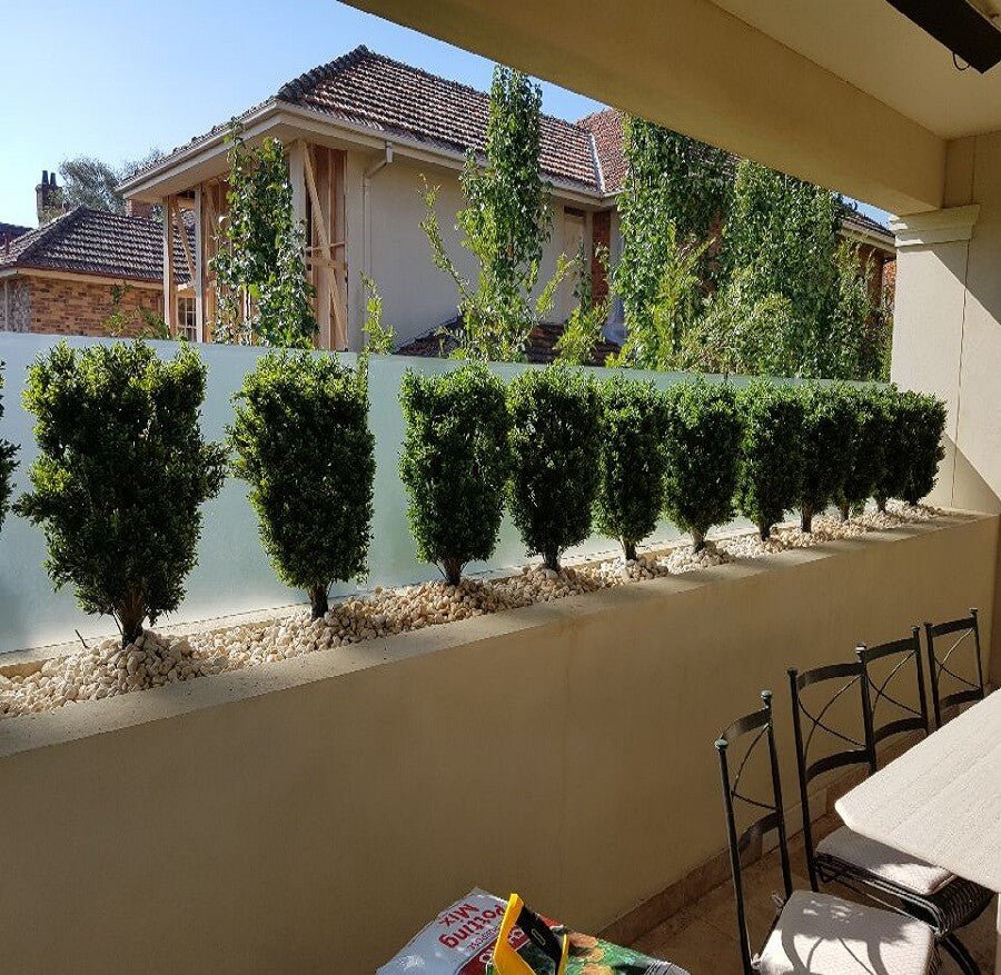 How To Make Fake Plants UV Resistant Designer Vertical Gardens