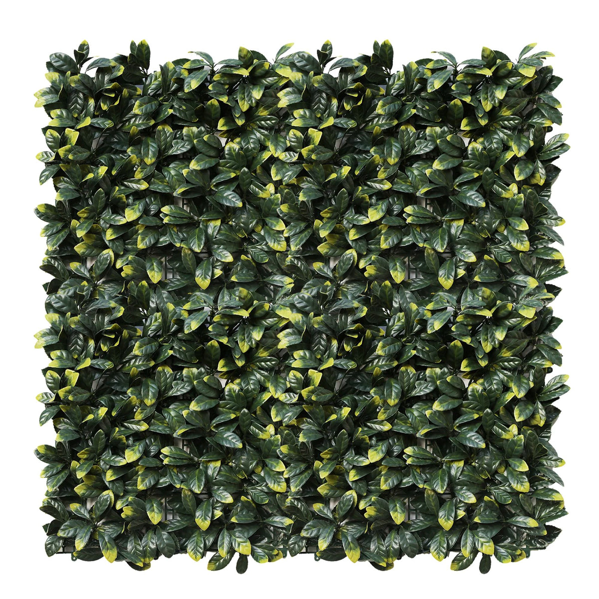 Lemon Leaf Artificial Hedge Panel 1m x 1m – SGS UV Resistant — gallery image