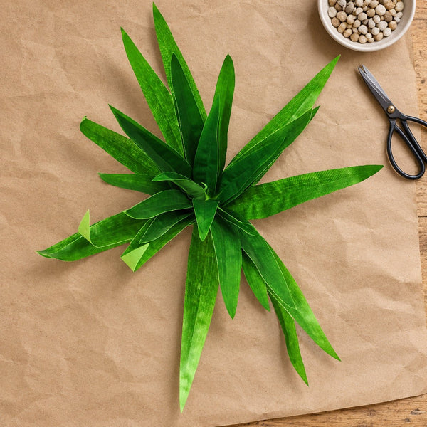 3 Pack - Aloe Vera Plant Stem 30cm — gallery image 7