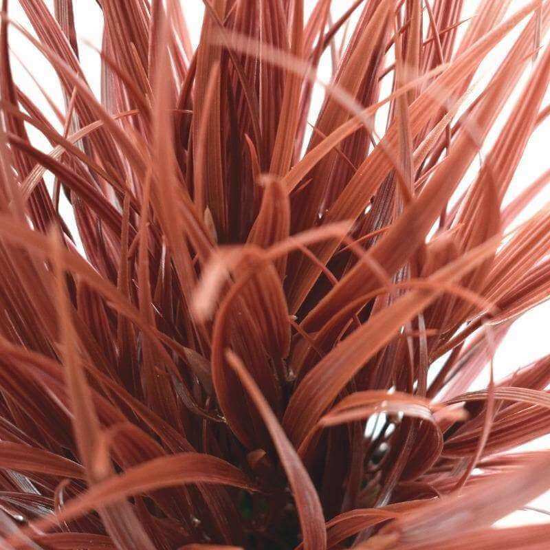 Potted Artificial Grass Burgundy Plant UV Resistant 38cm — gallery image