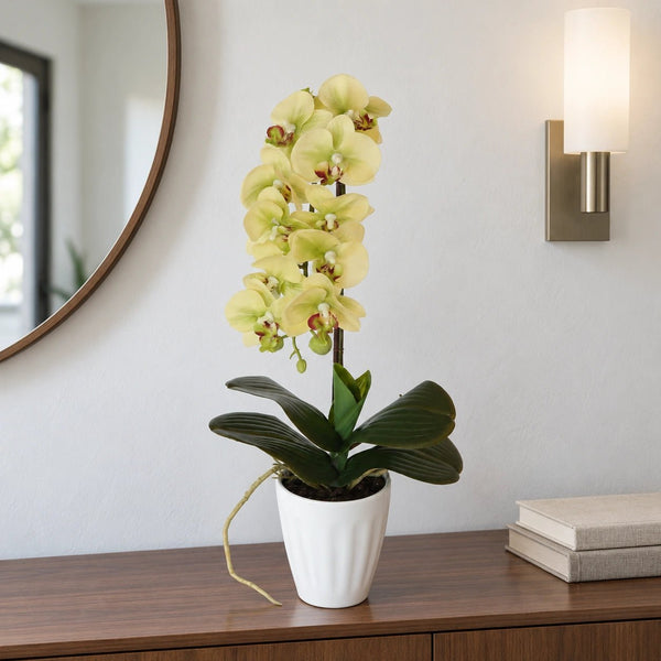 40cm Butterfly Artificial Potted Orchid Cream — gallery image 4
