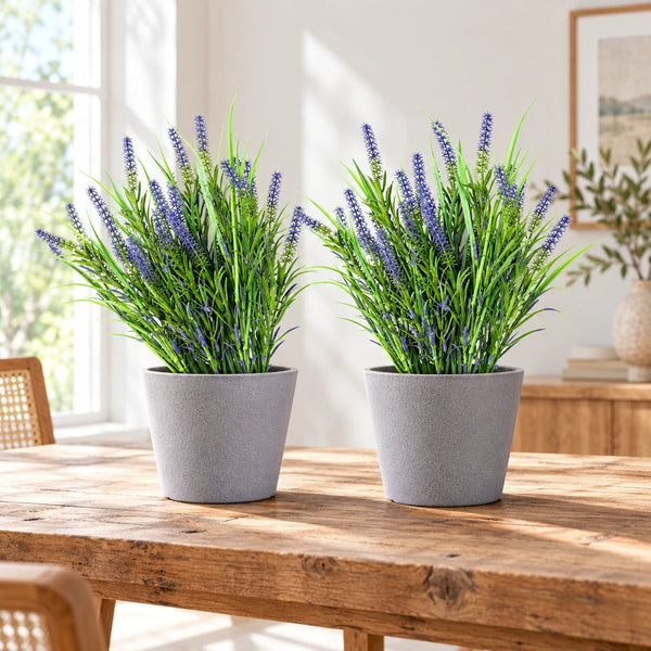 5 Pack Long Stem Purple Lavender Plant 50cm UV Resistant Wall Plant — gallery image 7