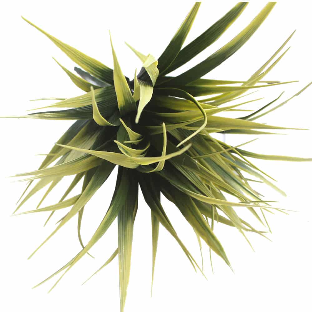 5 Pack - UV Yellow Tipped Grass Stem - 35cm — gallery image