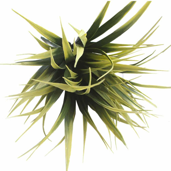 5 Pack - UV Yellow Tipped Grass Stem - 35cm — gallery image 5