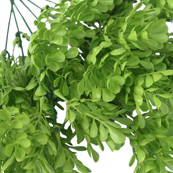 5 Pack Vivid Green Wide Eucalyptus Plant 32cm UV Resistant Wall Plant — gallery image 3