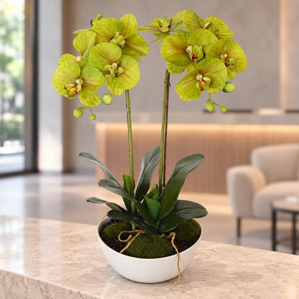 50cm Flowering Artificial Potted Orchid - Multi Stem — gallery image 3