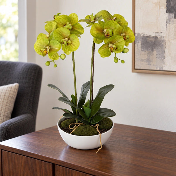 50cm Flowering Artificial Potted Orchid - Multi Stem — gallery image 4