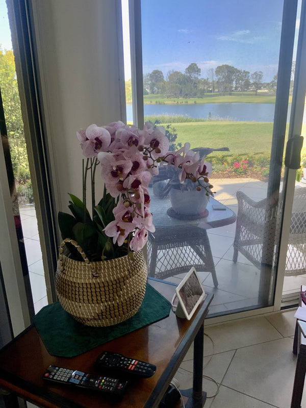 66cm Multi Stem Pink Butterfly Artificial Potted Orchid — gallery image 6