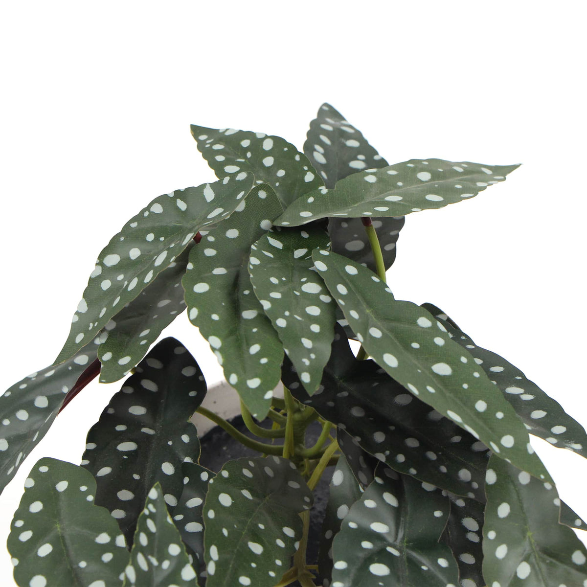 Artificial Begonia Plant In Decorative Bowl 30cm — gallery image