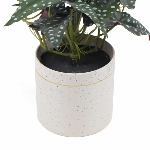 Artificial Begonia Plant In Decorative Bowl 30cm — gallery image 12