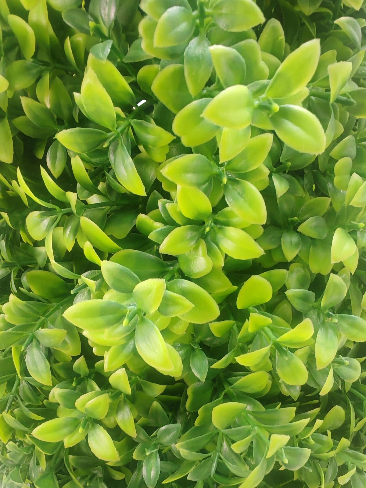 Artificial Boxwood Tree 120cm - UV Resistant Bright Green Buxus — gallery image