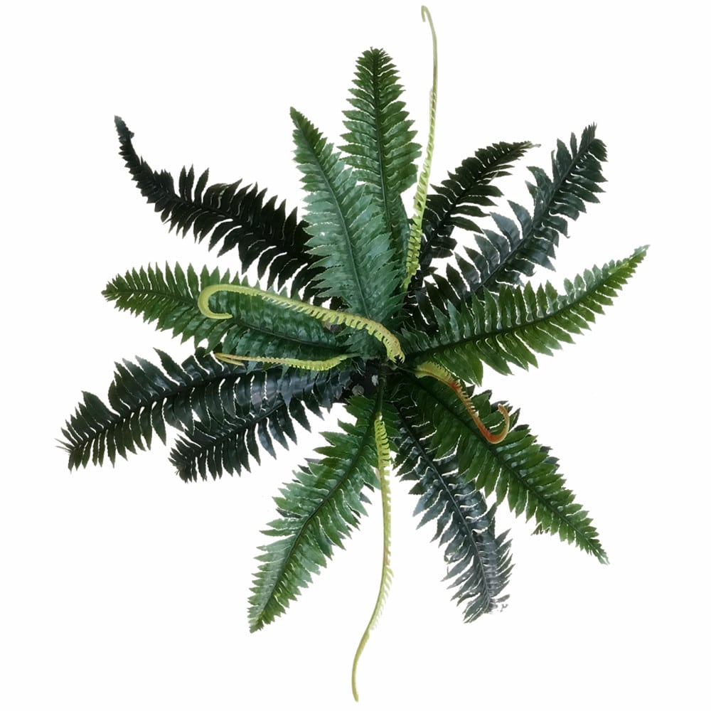 Artificial Dark Green Boston Fern 60cm — gallery image