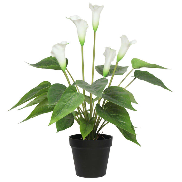 Artificial Flowering White Peace Lily / Calla Lily Plant 50cm — gallery image 3