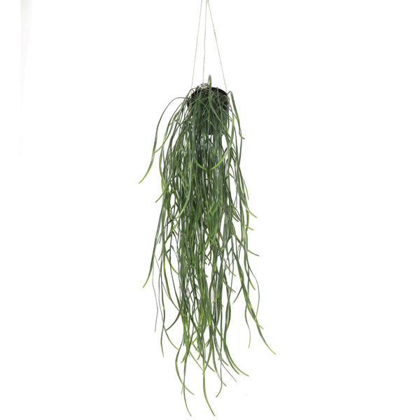 Artificial Hanging Potted Plant (Willow Leaf) 66cm UV Resistant — gallery image 4