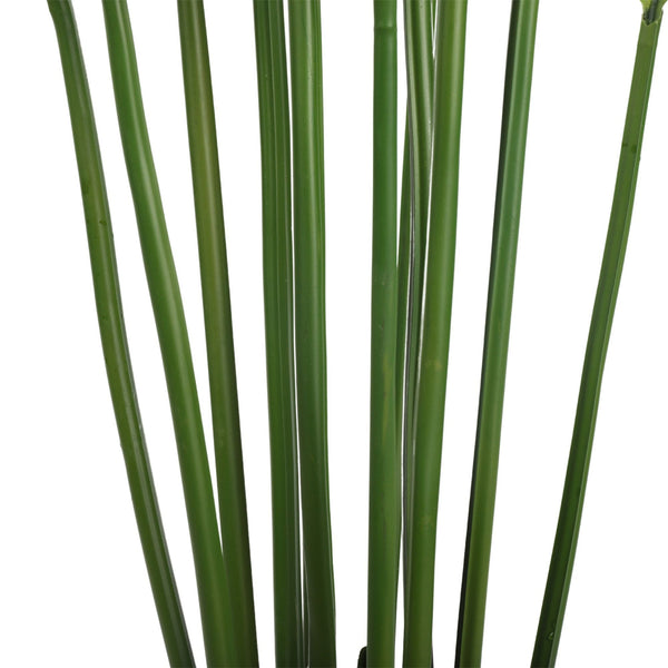 Artificial Multi Stem Hawaii Palm 190cm — gallery image 4
