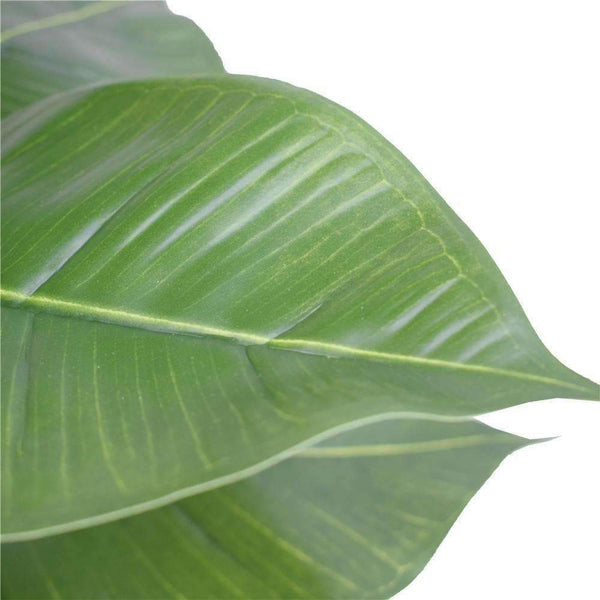 Artificial Potted Rubber Plant 55 cm — gallery image 3