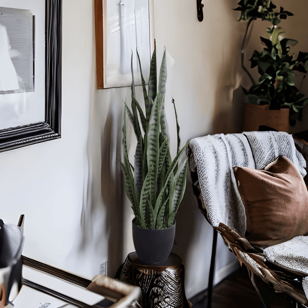 Artificial Snake Plant Sansevieria UV Resistant 90cm — gallery image 10