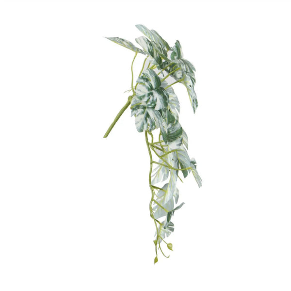 Artificial Hanging White & Green Monstera Albo Variegata 45cm — gallery image 5