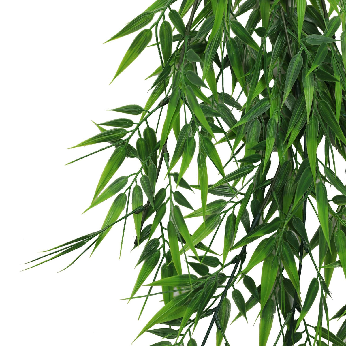 Cascading Ruscus Leaf Vine – Outdoor Proof (120cm) — gallery image