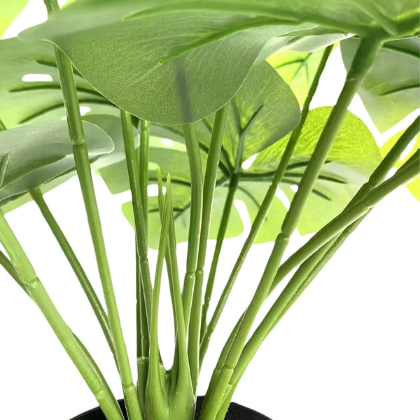 Lush Mini Monstera Plant – Decorative Potted Greenery (50cm) — gallery image 7