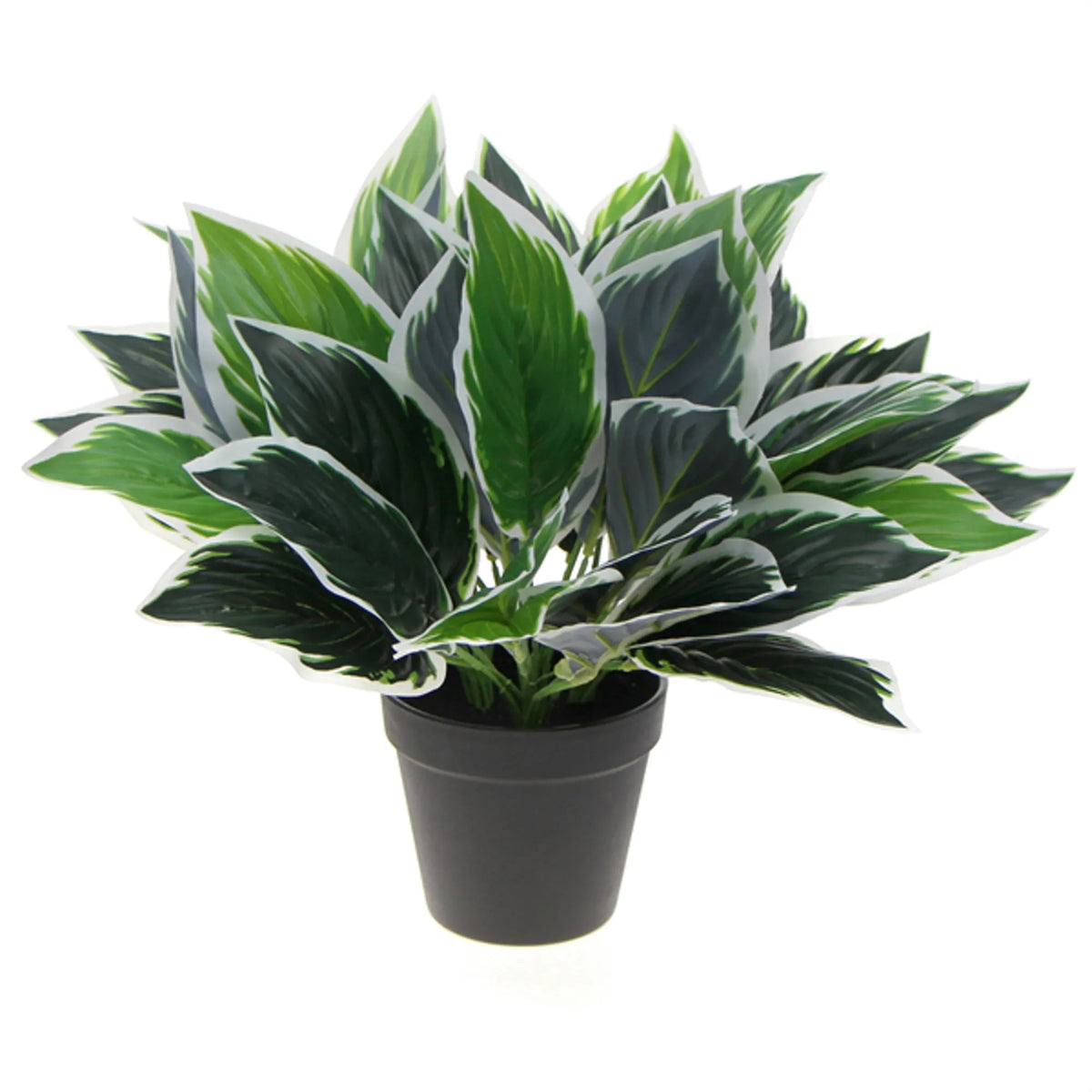 Dense Potted Artificial Calathea Plant 35cm — gallery image