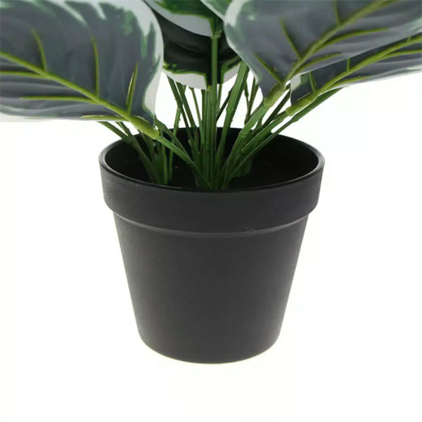 Dense Potted Artificial Calathea Plant 35cm — gallery image 10