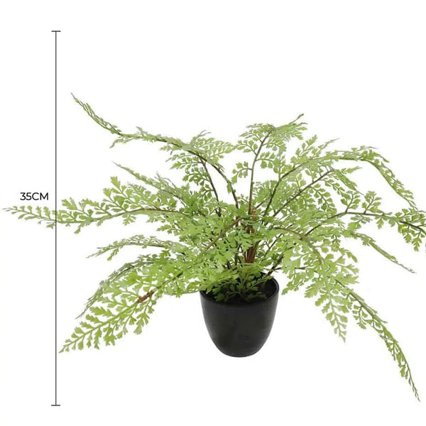 Faux Small Potted Fern 35cm — gallery image 3