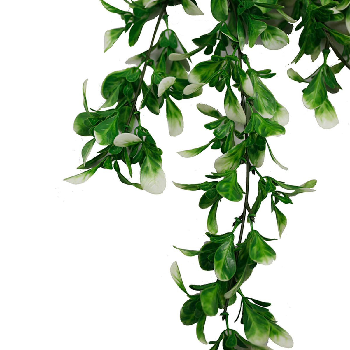 FreshFlow Green & White Jasmine Cascade – Durable Design Outdoor Proof 73cm — gallery image