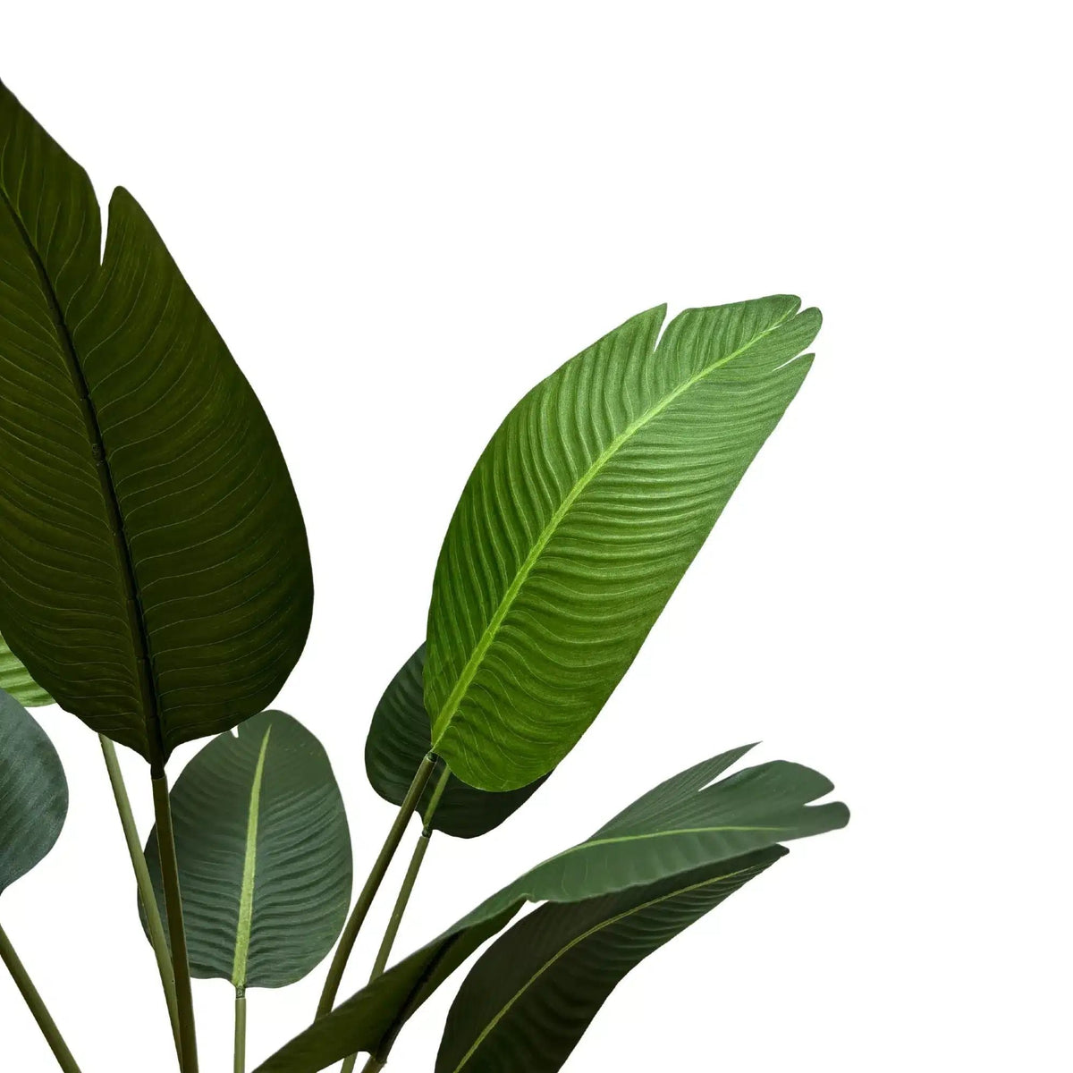 Grand Artificial Potted Travellers Palm (Banana Palm Tree) 120cm — gallery image