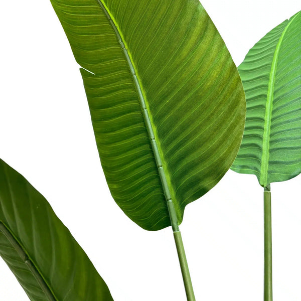 Grand Artificial Potted Travellers Palm (Banana Palm Tree) 160cm — gallery image 4