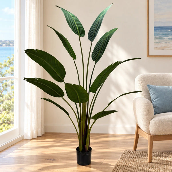 Grand Artificial Potted Travellers Palm (Banana Palm Tree) 160cm — gallery image 7