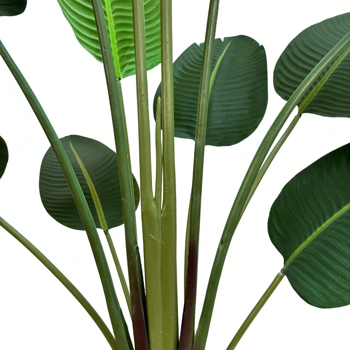 Grand Artificial Potted Travellers Palm (Banana Palm Tree) 180cm — gallery image