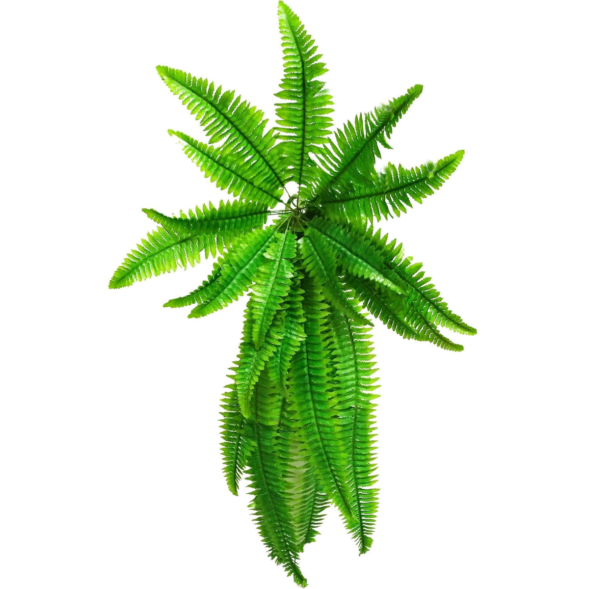 Hanging Artificial Boston Fern - 100cm — gallery image