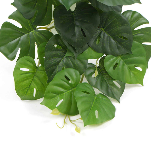Hanging Artificial Monstera Adansonia Plant 50cm — gallery image 12