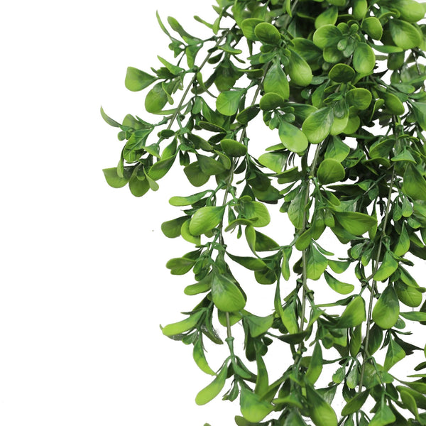 Hanging Creeping Fig Vine – UV & Fire Rated (18cm x 76cm) — gallery image 8