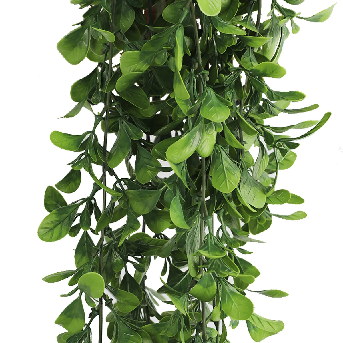 Hanging Creeping Fig Vine – UV & Fire Rated (18cm x 76cm) — gallery image