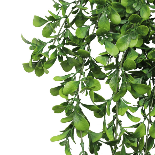 Hanging Creeping Fig Vine – UV & Fire Rated (18cm x 76cm) — gallery image 7