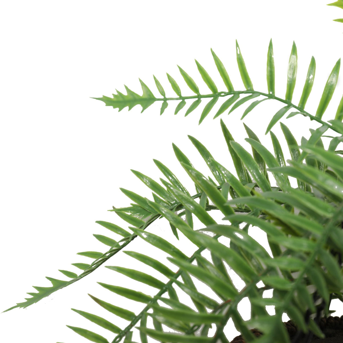 Large Artificial Hanging Basket (Fern Hanging Basket) — gallery image