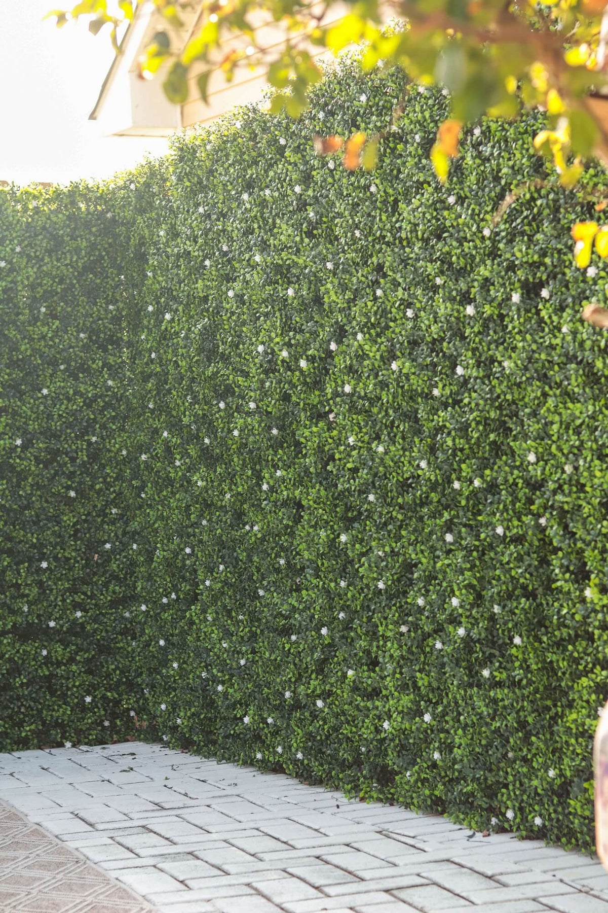 Luxury Flowering Buxus Artificial Hedge Panel 1m x 1m – SGS UV Resistant — gallery image