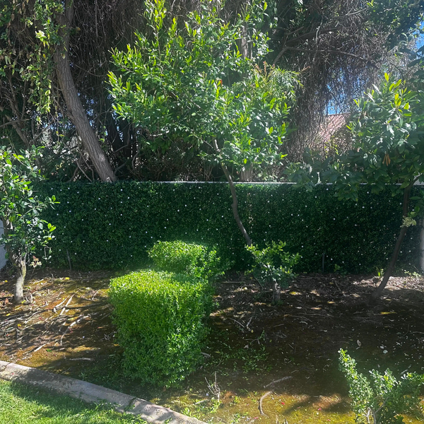 Luxury Flowering Buxus Artificial Hedge Panel 1m x 1m – SGS UV Resistant — gallery image 22