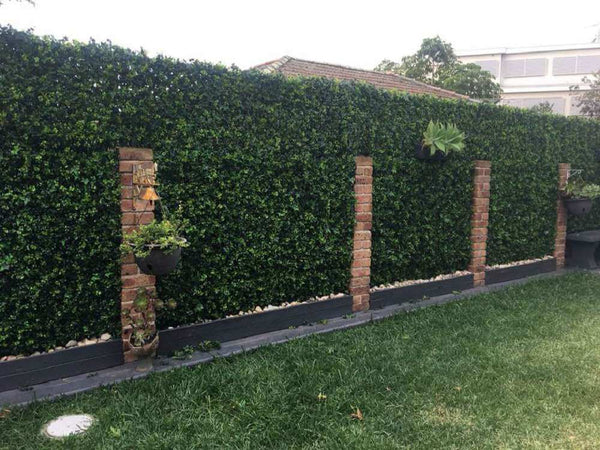 Luxury Mixed Ivy Artificial Hedge Panel 1m x 1m – SGS UV Resistant — gallery image 16