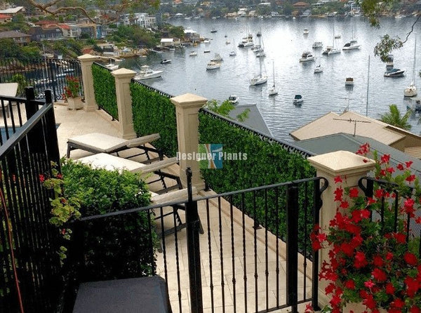 Luxury Mixed Ivy Artificial Hedge Panel 1m x 1m – SGS UV Resistant — gallery image 20