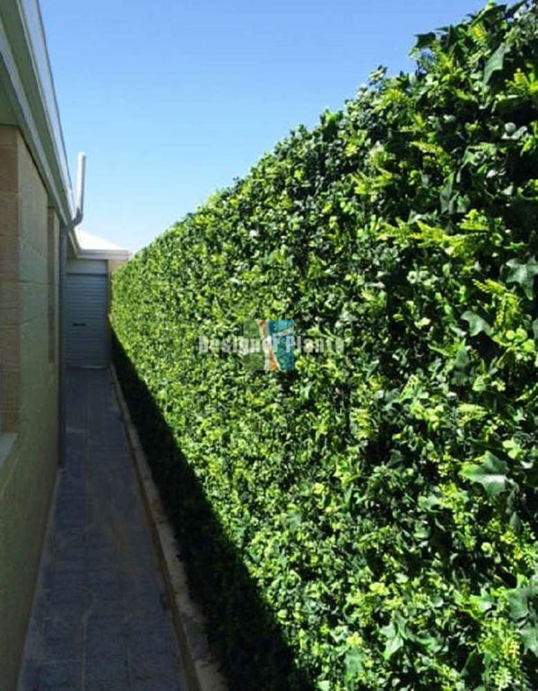 Luxury Mixed Ivy Artificial Hedge Panel 1m x 1m – SGS UV Resistant — gallery image 15