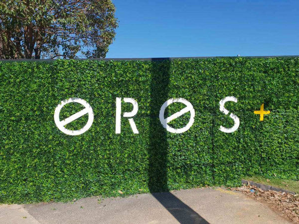 Luxury Mixed Ivy Artificial Hedge Panel 1m x 1m – SGS UV Resistant — gallery image 22
