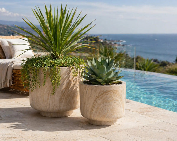 2 Sizes - Luxury Rounded Marble Planter with Pedestal Base | Premium Pot Range — gallery image 5