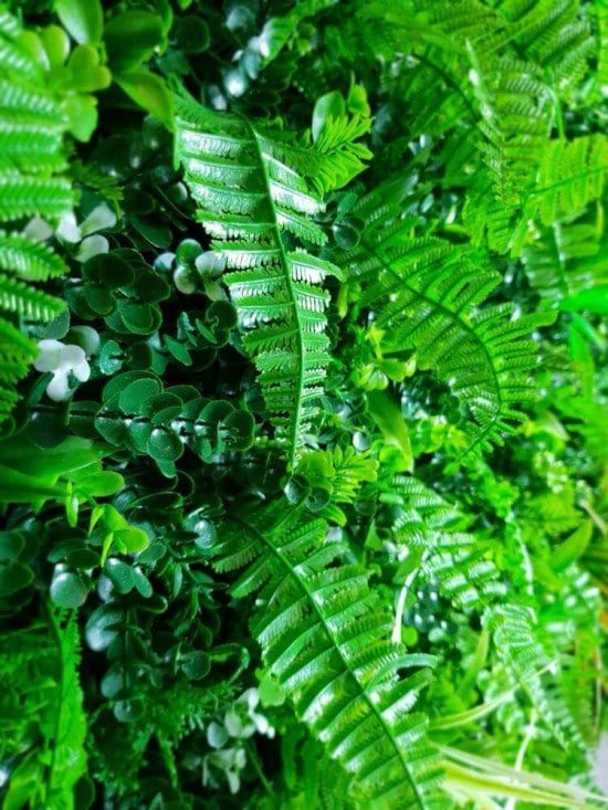 Luxury Wild Tropics Vertical Garden Green Wall Panel 1m x 1m – SGS UV Resistant — gallery image 14