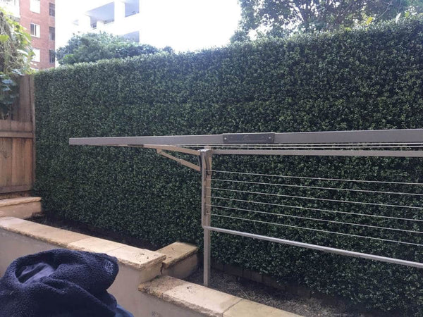 Natural Buxus Artificial Hedge Panel 1m x 1m – SGS UV Resistant — gallery image 18