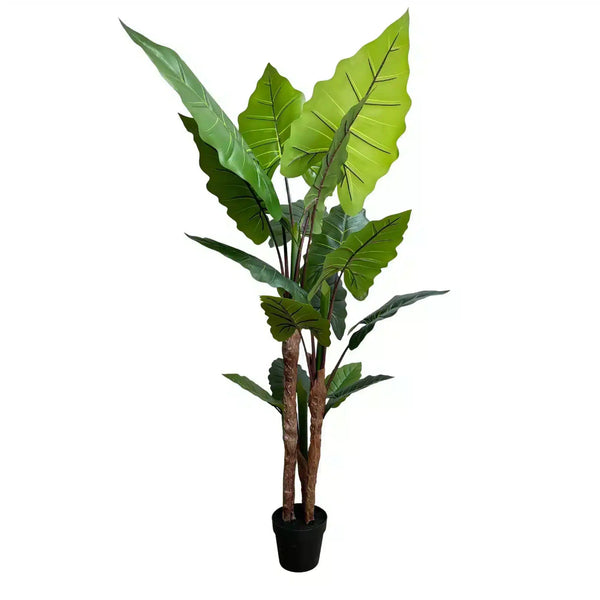 Nearly Natural Artificial 170cm Tall Taro Plant / Giant Elephant Ear Plant — gallery image 4